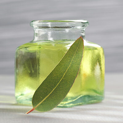 Top 3 Pet-Friendly Essential Oils