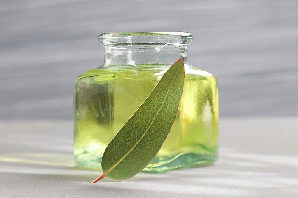 Top 3 Pet-Friendly Essential Oils