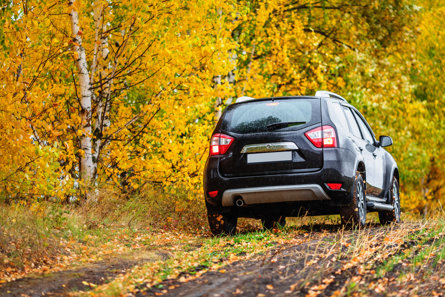 The Rise of Crossover SUVs