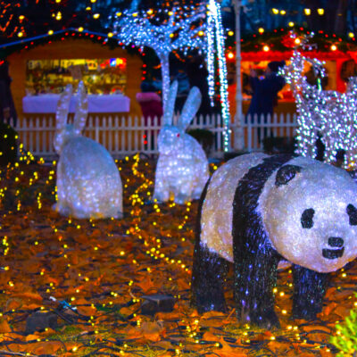 Best Stocking Stuffers for Christmas